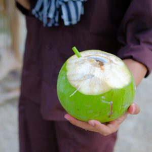 Dừa Xiêm Xanh Tươi – Dừa Uống Nước Tự Nhiên