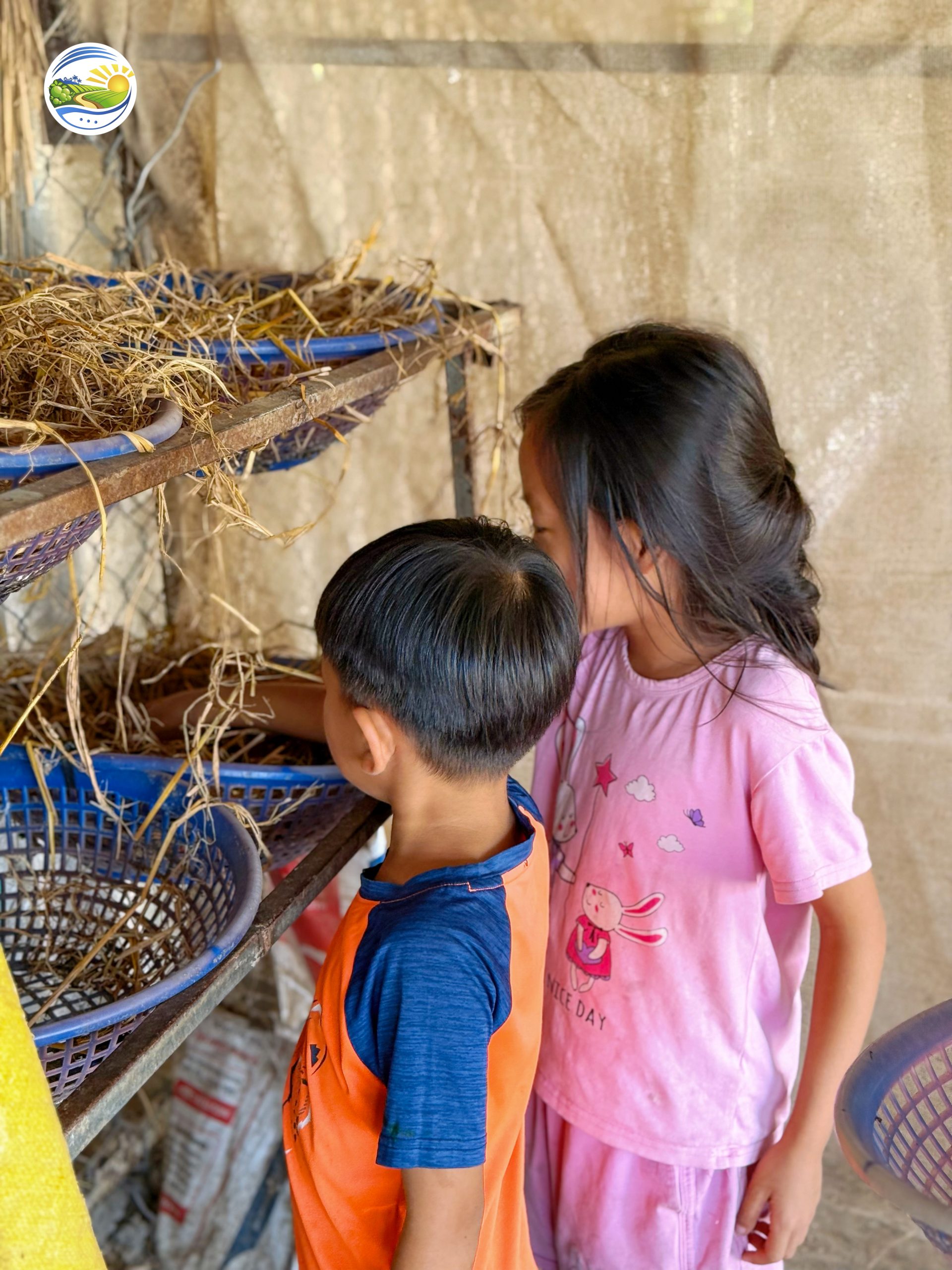 Cung Be Nhat Trung Ga