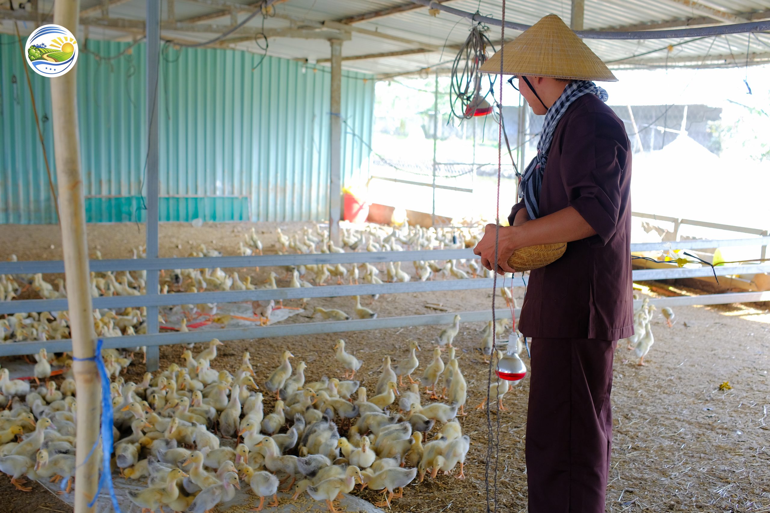 Thuc an tu nhien cho vat nuoi