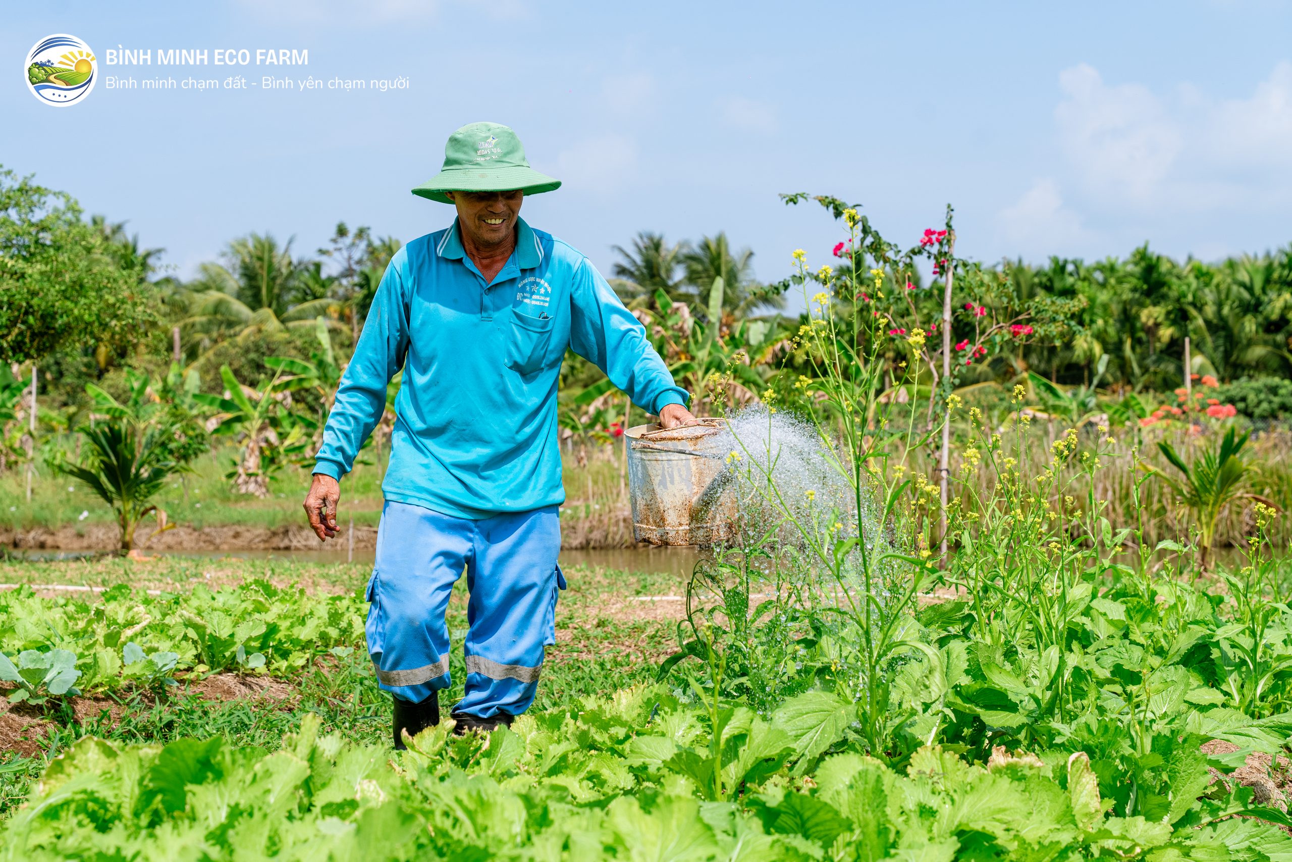 Vuon rau tai Binh Minh Eco Farm